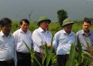 Đồng chí Nguyễn Đức Quyền – PCT TT UBND tỉnh kiểm tra tình hình khắc phục hậu quả do thiên tai trên địa bàn huyện